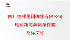四川德勝集團(tuán)釩鈦有限公司電動(dòng)新能源貨車保險(xiǎn)招標(biāo)文件